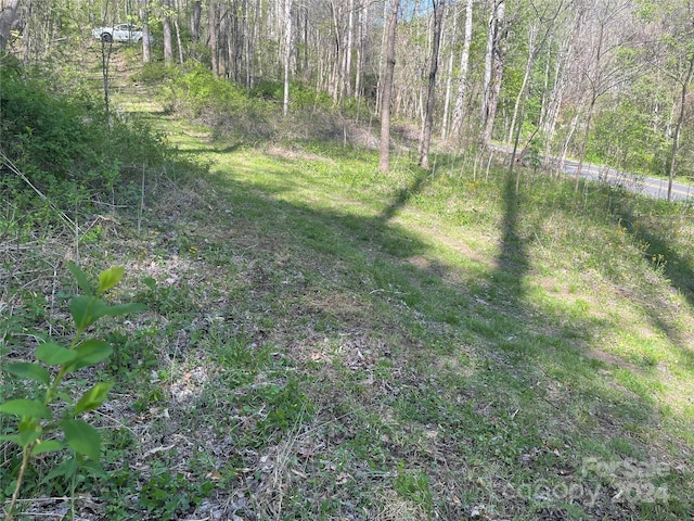 Listing photo 2 for 0 Martins Creek Rd, Barnardsville NC 28709