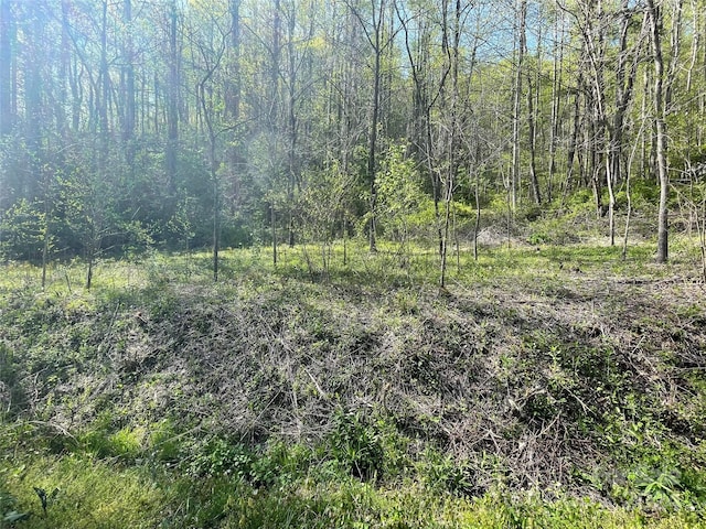 Listing photo 3 for 0 Martins Creek Rd, Barnardsville NC 28709