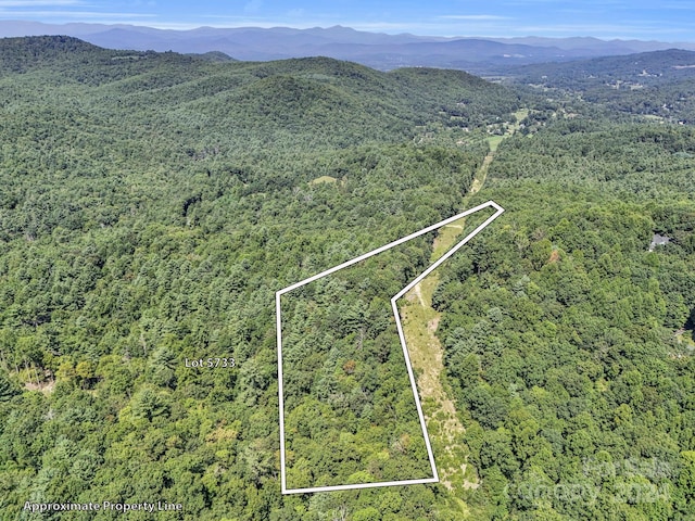 SR1196-A Evans Rd, Hendersonville NC, 28739 land for sale