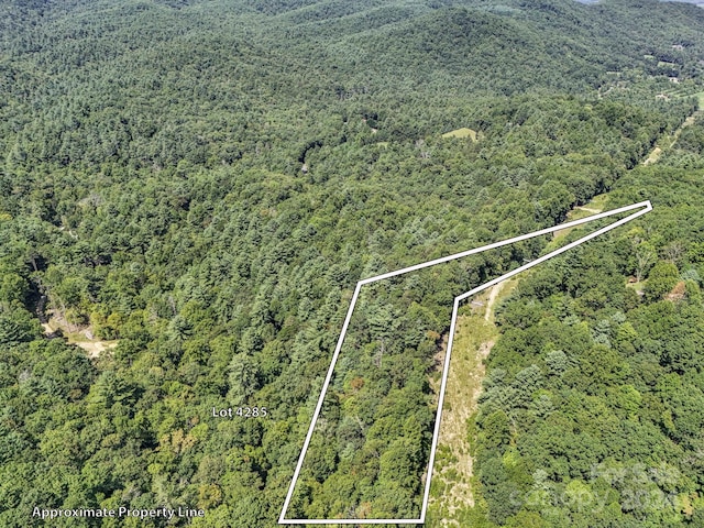 SR1196-A Evans Rd, Hendersonville, NC 28739 - photo 2