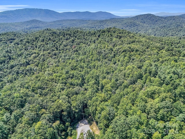 SR1196-A Evans Rd, Hendersonville, NC 28739 - photo 4