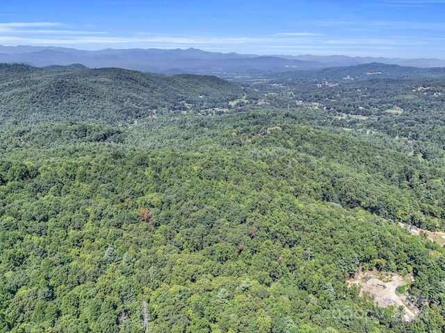 SR1196-A Evans Rd, Hendersonville, NC 28739 - photo 5