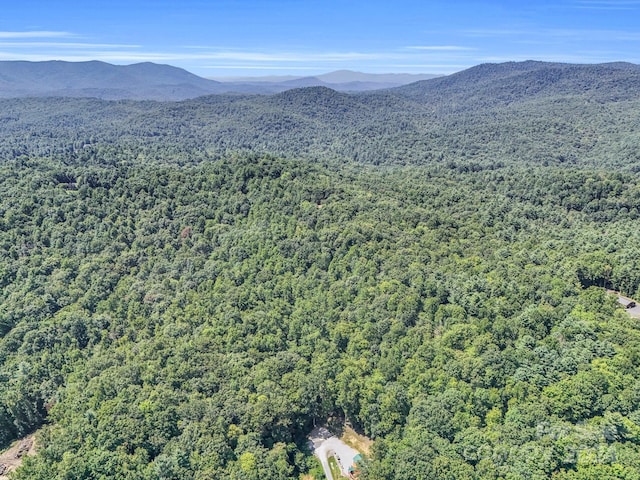 SR1196-A Evans Rd, Hendersonville, NC 28739 - photo 6