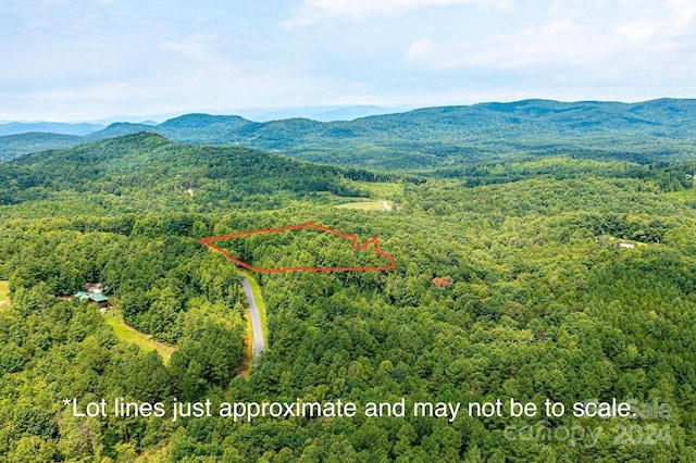 478 Lakeside Trl, Nebo, NC 28761
