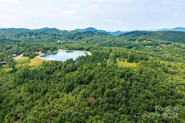 478 Lakeside Trl, Nebo, NC 28761