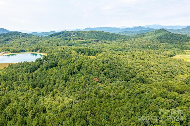 478 Lakeside Trl, Nebo, NC 28761