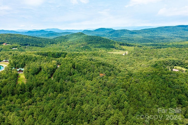 478 Lakeside Trl, Nebo, NC 28761