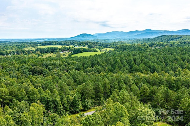 478 Lakeside Trl, Nebo, NC 28761
