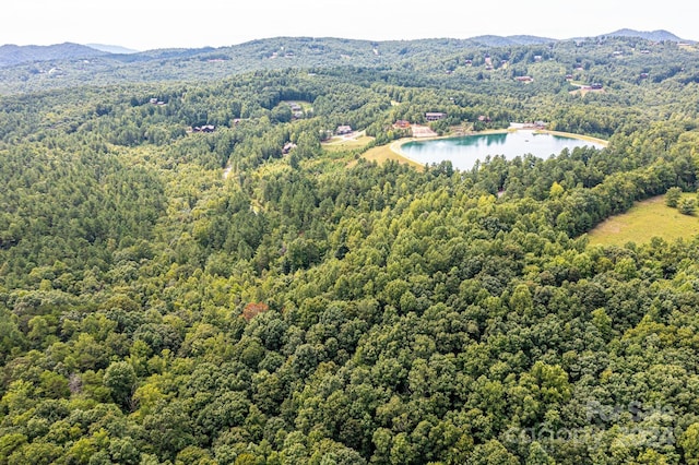 478 Lakeside Trl, Nebo, NC 28761