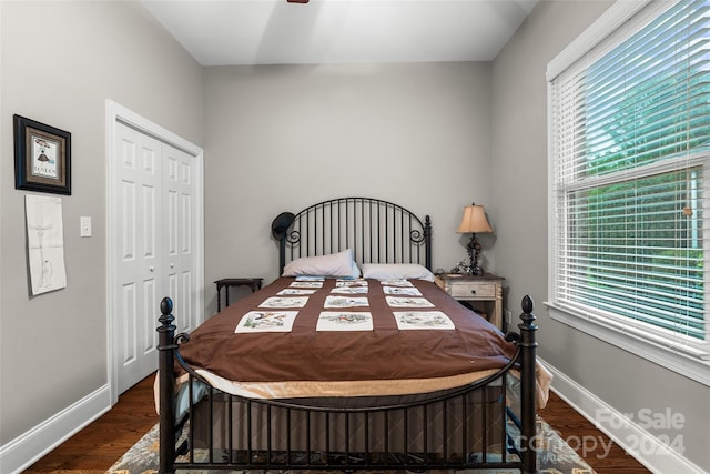 bedroom featuring a closet and dark hardwood / wood-style floors