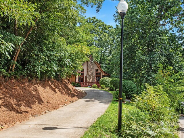 354 Vance Gap Rd, Asheville, NC 28804 - photo 36