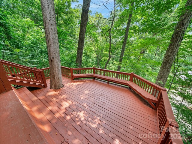 354 Vance Gap Rd, Asheville, NC 28804 - photo 44