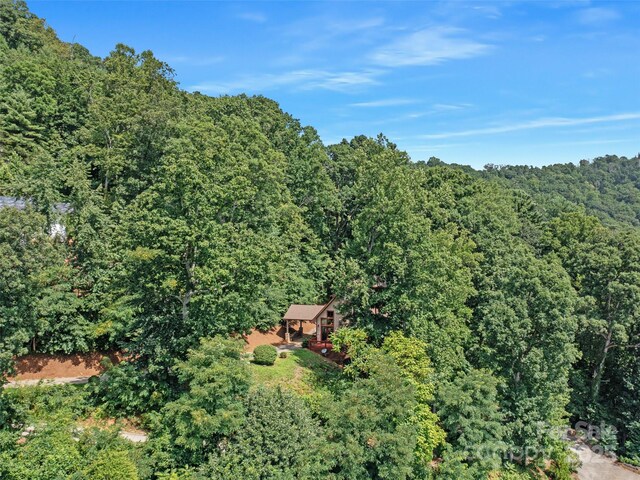 354 Vance Gap Rd, Asheville, NC 28804 - photo 47
