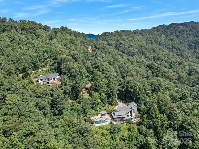 354 Vance Gap Rd, Asheville, NC 28804 - photo 48
