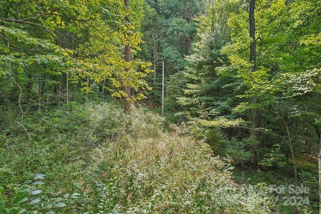 view of local wilderness featuring a wooded view