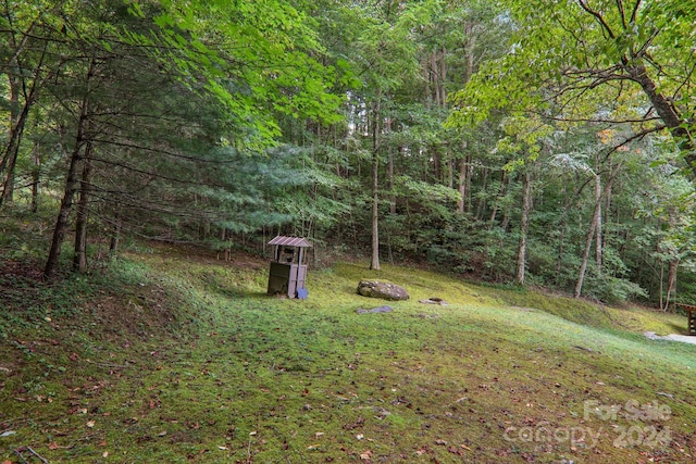 view of yard featuring a wooded view