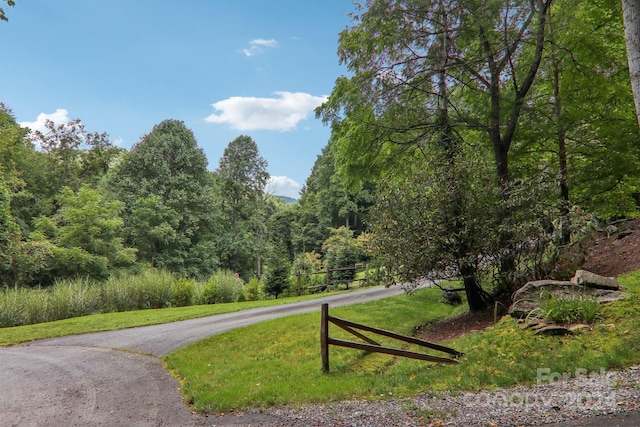 view of community featuring driveway