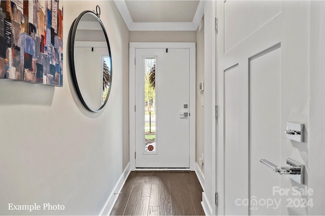 doorway to outside featuring baseboards and dark wood-type flooring