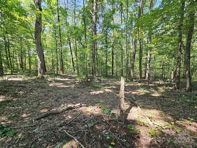 view of landscape with a forest view