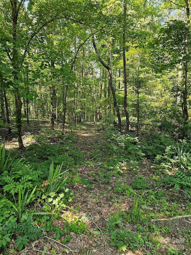 view of nature featuring a forest view