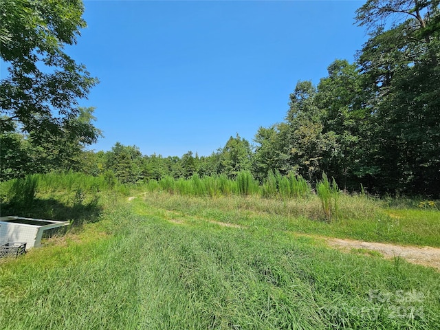 view of local wilderness