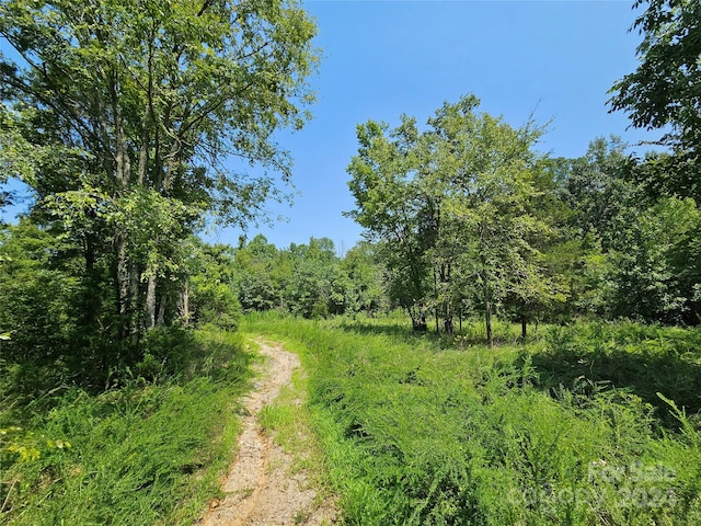 view of nature with a wooded view