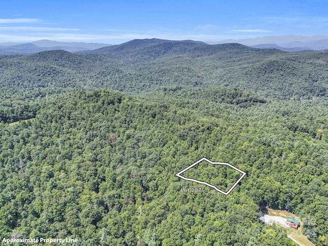 SR1196-B Evans Rd, Hendersonville NC, 28739 land for sale