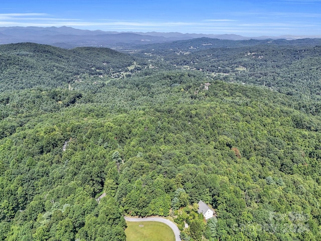 Listing photo 3 for SR1196-B Evans Rd, Hendersonville NC 28739