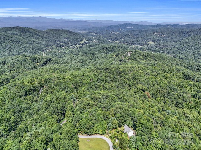 SR1196-B Evans Rd, Hendersonville, NC 28739 - photo 3