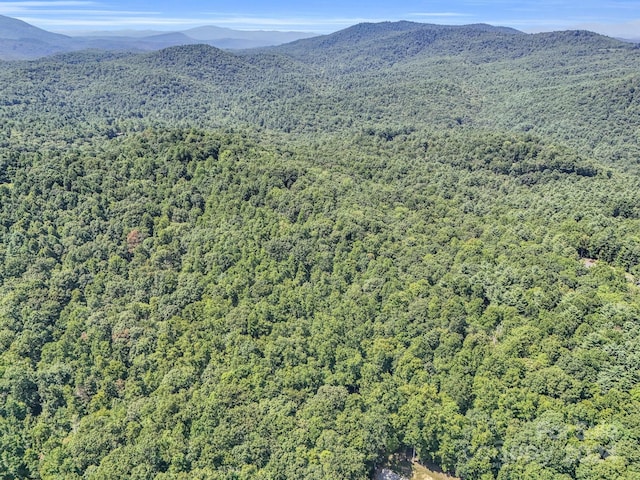 SR1196-B Evans Rd, Hendersonville, NC 28739 - photo 4