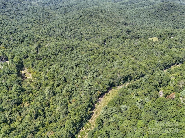 SR1196-B Evans Rd, Hendersonville, NC 28739 - photo 5