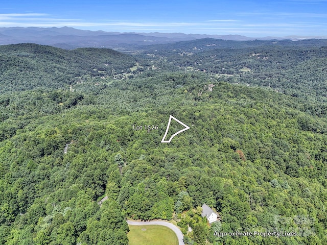 SR1196-C Evans Rd, Hendersonville NC, 28739 land for sale