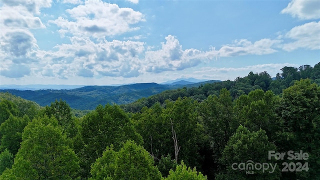 00 Timber Rock Dr Unit 521, Lenoir NC, 28645 land for sale