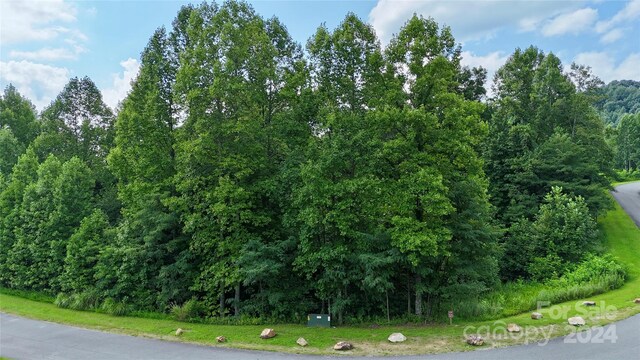 00 Timber Rock Dr Unit 521, Lenoir, NC 28645 - photo 2