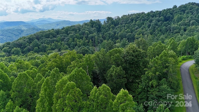 Listing photo 3 for 00 Timber Rock Dr Unit 521, Lenoir NC 28645