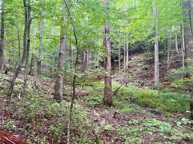 00 Timber Rock Dr Unit 521, Lenoir, NC 28645 - photo 9