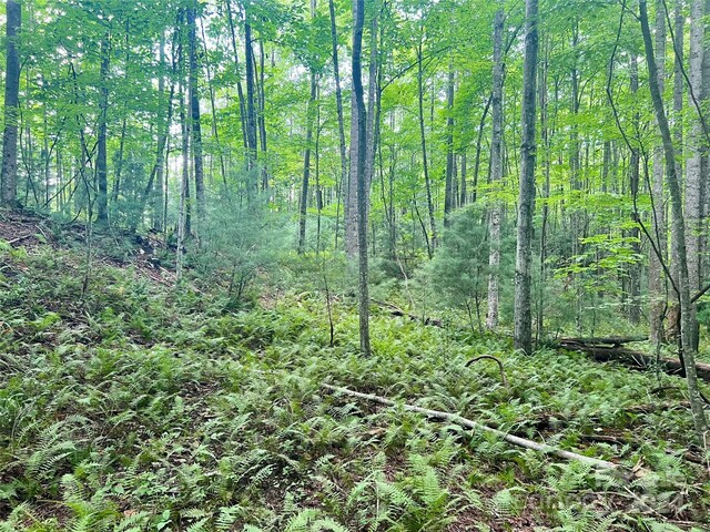 00 Timber Rock Dr Unit 521, Lenoir, NC 28645 - photo 10
