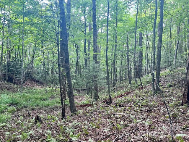 00 Timber Rock Dr Unit 521, Lenoir, NC 28645 - photo 13
