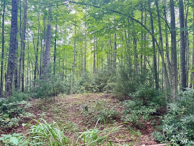 00 Timber Rock Dr Unit 521, Lenoir, NC 28645 - photo 14