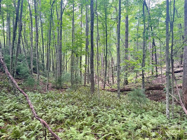 00 Timber Rock Dr Unit 521, Lenoir, NC 28645 - photo 15