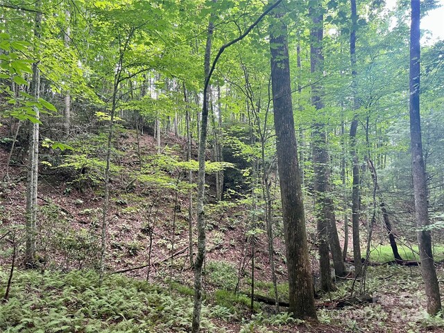 00 Timber Rock Dr Unit 521, Lenoir, NC 28645 - photo 18