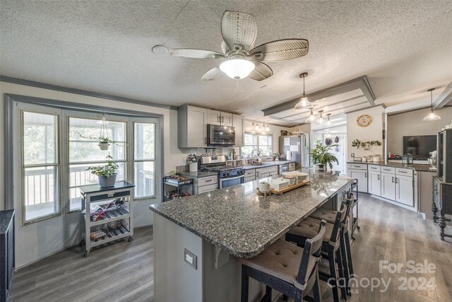 kitchen with appliances with stainless steel finishes, hanging light fixtures, dark hardwood / wood-style floors, and plenty of natural light