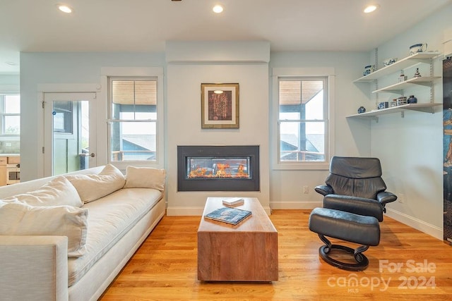 living room with light hardwood / wood-style floors and a wealth of natural light