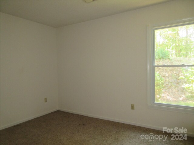 unfurnished room featuring carpet flooring