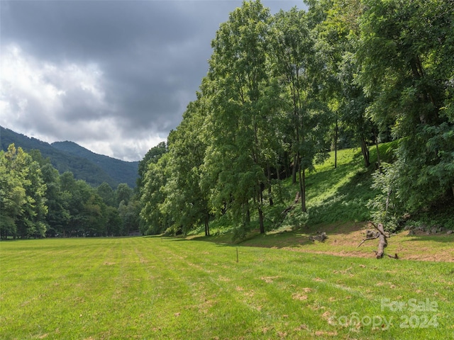 Listing photo 3 for 00 Campbell Mountain Drive Lots 118 & 119, Waynesville NC 28785