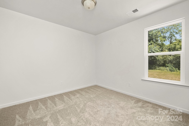 carpeted spare room featuring a wealth of natural light