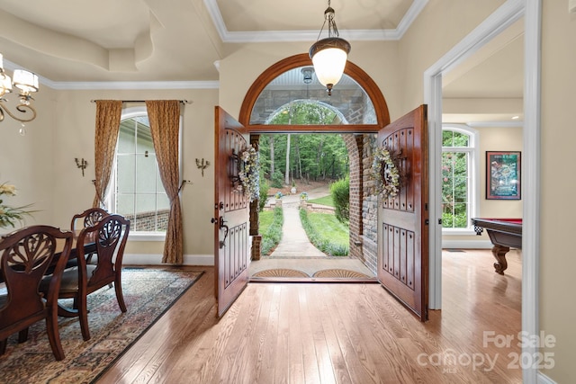 entryway featuring wood-type flooring, a healthy amount of sunlight, and billiards