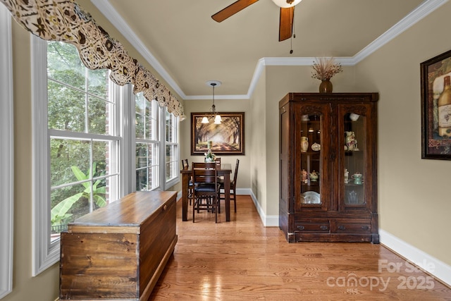 dining space with light hardwood / wood-style floors, ceiling fan, and ornamental molding