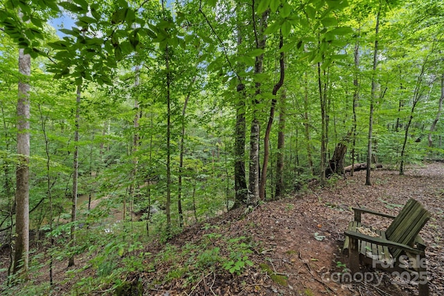4364 Hager Mountain Ln, Iron Station, NC 28080 - photo 41