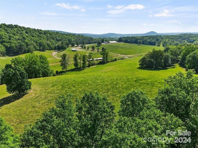 800 Cooter Hollow Rd, North Wilkesboro NC, 28659 land for sale